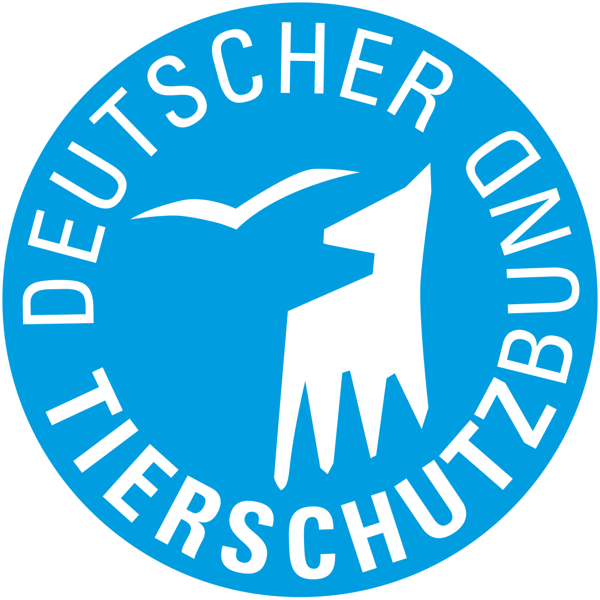 LAUF WEITER Katzenlauf Banner